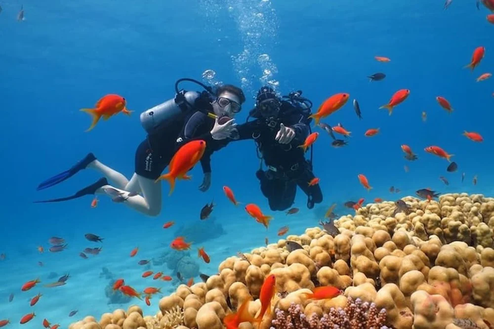 Tour đảo Hòn Mun Nha Trang