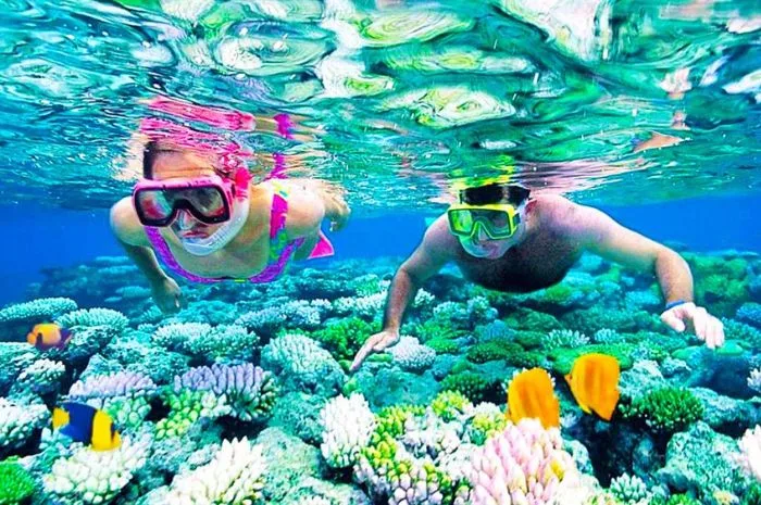 Tour 4 đảo Nha Trang
