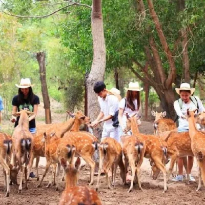 Tour đảo Khỉ suối Hoa Lan Nha Trang