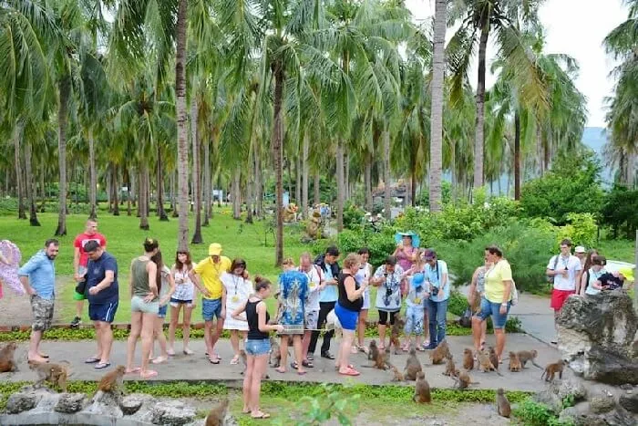 Tour đảo Khỉ suối đảo Nha Trang
