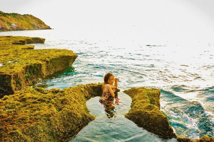 Tour Hang Rái Vĩnh Hy Nha Trang 