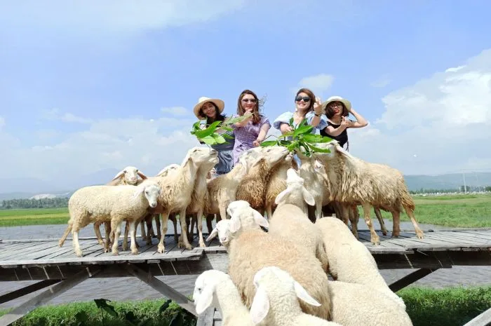 Tour Hang Rái Vĩnh Hy Nha Trang