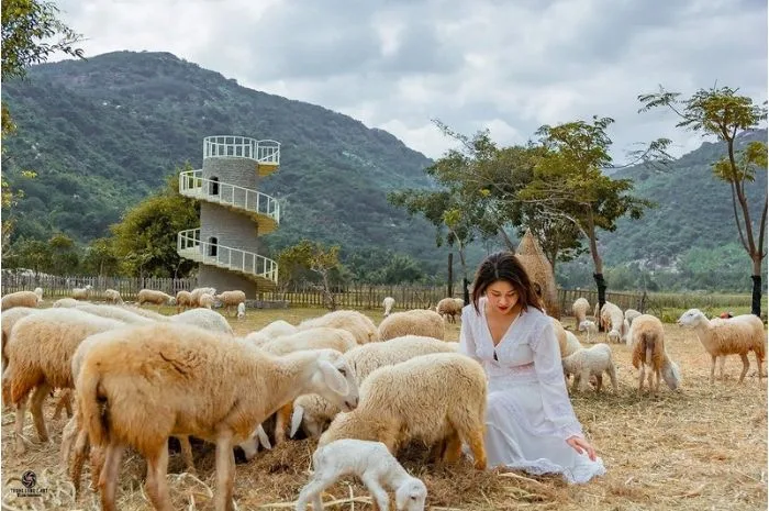 Tour Nha Trang 3 ngày 2 đêm